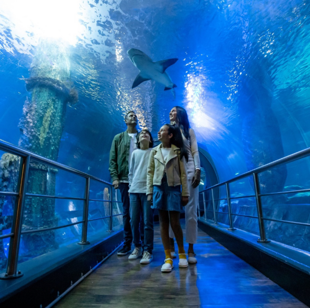 SEA LIFE Melbourne