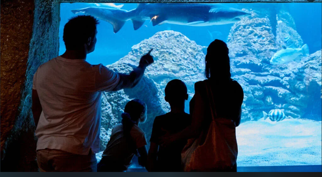 珀斯水族馆