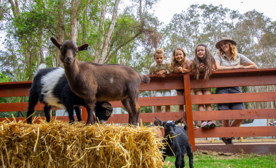 Currumbin Wildlife Sanctuary Ticket
