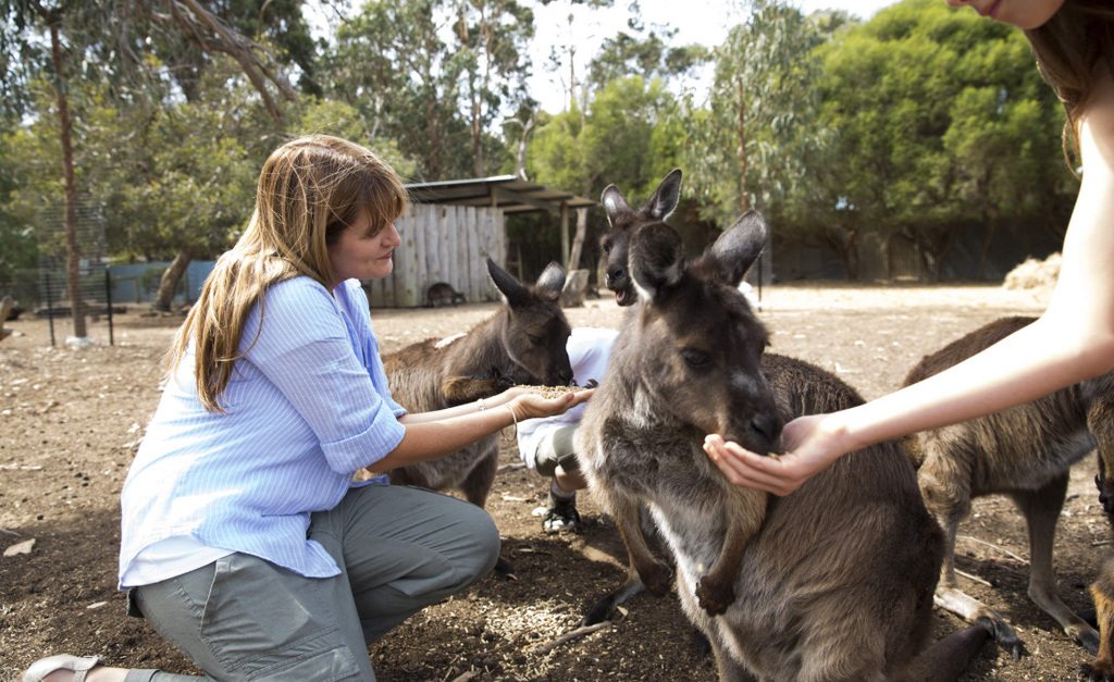 Kangaroo Island Day Tour from Adelaide