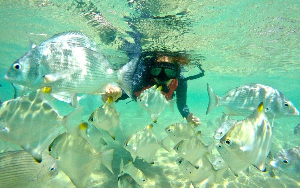 Gold Coast Kayaking & Snorkeling Tour