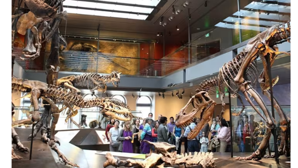 Natural History Museum of Los Angeles County: Entry Ticket