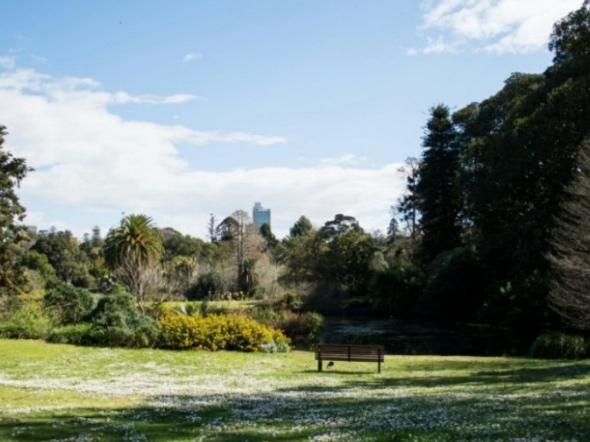 Peaceful lawn with a wooden bench overlooking the lake at Royal Botanic Gardens Cranbourne, Melbourne, Victoria, Australia

