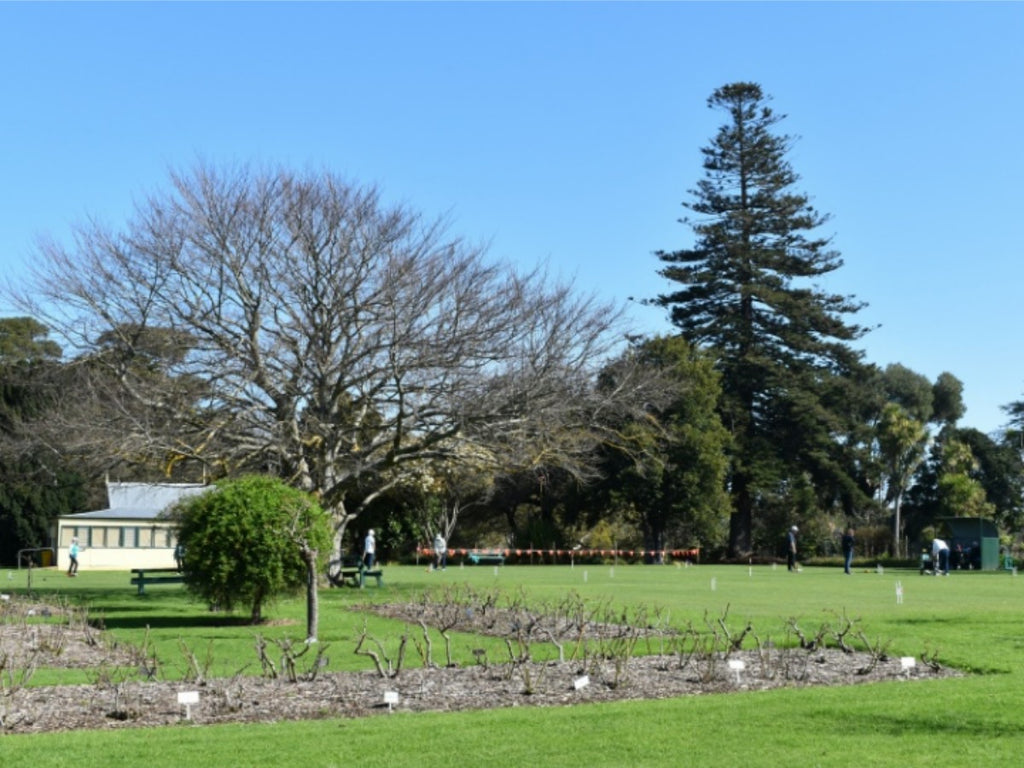 Open green lawn and rose garden at Royal Botanic Gardens Cranbourne, with visitors enjoying a sunny day in Victoria, Australia